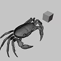 Realistic Brown Crab With Colorful Rubik's Cube On Gray Background