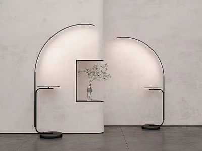Modern Arched Floor Lamps With Shelf Vase And Plant In Light Wall Interior 3d model