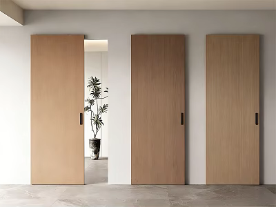 Three Wooden Sliding Doors With Open Panel Revealing Interior Space And Potted Plant 3d model