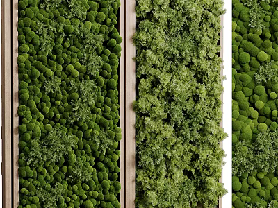 Vertical Green Wall With Various Lush Plants 3d model