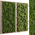 Vertical Green Wall With Various Lush Plants 3d model