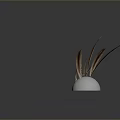 Brown Bird Feathers of Various Sizes Arranged with Reflections on Grey Background