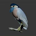 Vibrant Bird With Blue Head Light Blue Body Pink Chest Yellow Feet On Green Branch