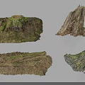 Natural Tree Stumps And Roots With Moss Covered Surfaces And Earthy Texture