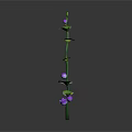 Green Stem Plants with Leaves Blue and Purple Flowers on Dark Background