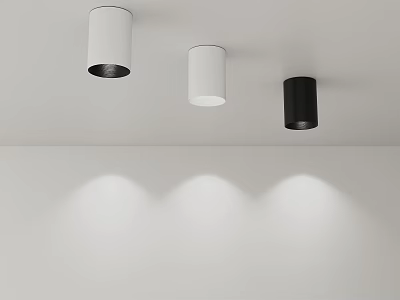 Modern Downlights and Spotlights on Ceiling with White and Black Design and Projected Light Spots 3d model