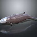 Dolphin Sculpture With Cracked Surface Design And Metallic Finish On Dark Background 3d model