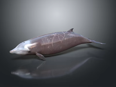 Dolphin Sculpture With Cracked Surface Design And Metallic Finish On Dark Background 3d model