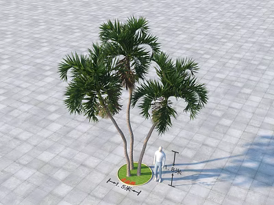 Three Palm Trees With Slender Trunks Lush Fronds In Circular Green Planter On Gray Pavement 3d model