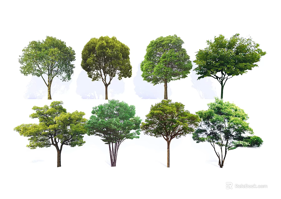 Various Arbor Tree Varieties With Green Foliage And Diverse Crown Shapes 3d model