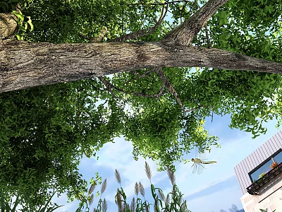 Scenic View Under Tree Featuring Lush Green Leaves Blue Sky Distant Building And Tall Grasses 3d model