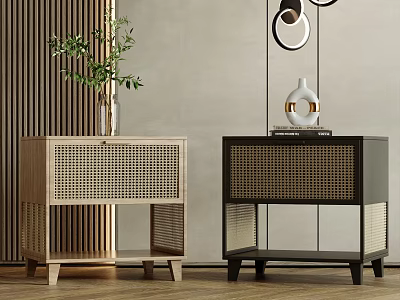 Modern Light And Dark Wooden Nightstands With Rattan Design And Decorative Items 3d model