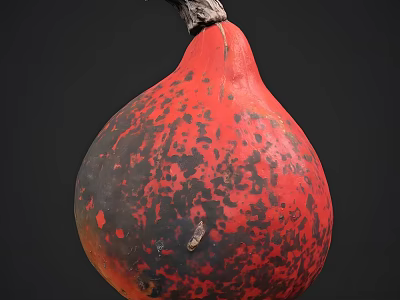 Unique Red Black Spotted Vegetable Pumpkin on Dark Background 3d model