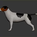Realistic Jack Russell Terrier Dog With Black White Brown Coat Standing On Dark Background