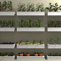 Indoor Multiple Layer Shelf Garden Growing Various Fresh Crops And Vegetables 3d model