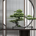 Elegant Pine Bonsai Plant with White Deer Statue on Black Tray and Modern Background Decoration