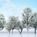 Apricot Tree Modern Tree 3d model