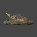 Reptile Turtle With Detailed Shell Resting On Mossy Rock With Small Grass 3d model