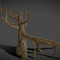 Dry Withered Tree With Twisted Trunk Bare Branches And Rough Bark 3d model
