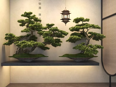 Serene Chinese Bonsai Plants Displayed On Dark Shelf With Hanging Lantern 3d model