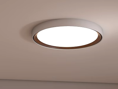 Sleek Round Ceiling Light With White Luminous Surface And Brown Trim 3d model