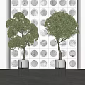 Bonsai Plants in White Pots with Black Stands Against Circular Patterned Wall 3d model