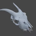 White Horned Animal Skull Display On Dark Background With Detailed Features