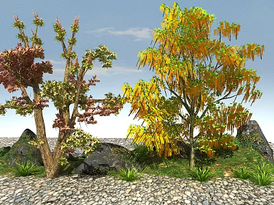 Colorful Arbor Trees With Red Yellow Leaves Stones Grass And Gravel Ground 3d model