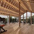 Spacious Fitness Studio With Wooden Ceiling Large Windows And Equipment