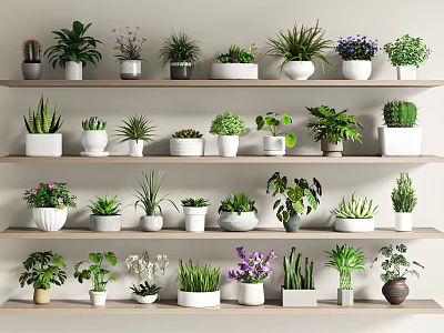 Multiple Decorative Shelves Display Various Potted Plants With Green Foliage And Pots 3d model