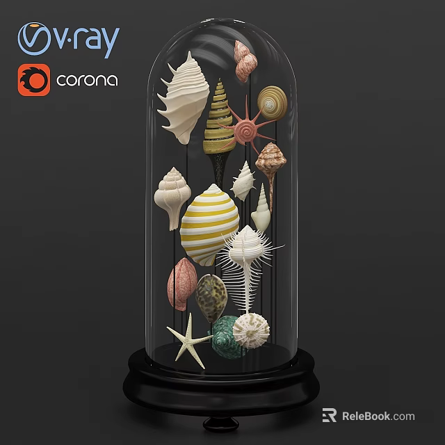 Decorative Ornament Under Glass Dome With Colorful Seashells Starfish And Marine Elements 3d model 