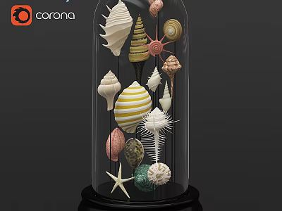Decorative Ornament Under Glass Dome With Colorful Seashells Starfish And Marine Elements 3d model