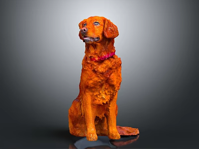 Orange Dog With Red Collar Sitting On Gray Background In Studio 3d model