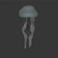 Transparent Jellyfish With Elegant Glowing Tentacles And Graceful Form On Dark Background