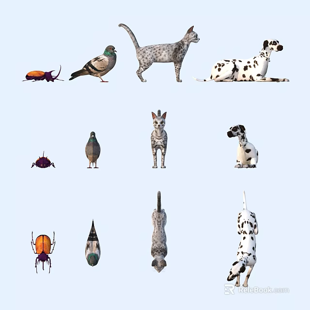 Various Animals and Insects Collection Featuring Beetles Pigeons Dogs and Cats 3d model 