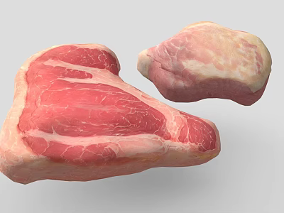 Fresh Raw Meat Cuts With Marbling And Fat Layers On 3d model