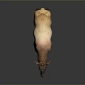 3D Rendered Standing Deer With Light And Dark Brown Fur On Gray Background