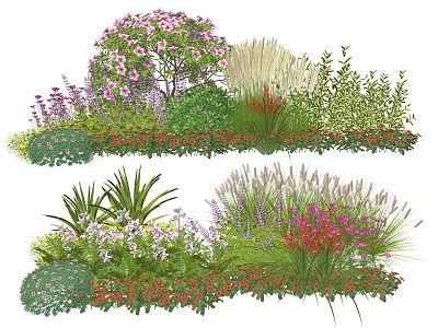Diverse Plant Combination With Flowering Shrubs Ornamental Grasses And Colorful Perennials 3d model