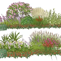 Diverse Plant Combination With Flowering Shrubs Ornamental Grasses And Colorful Perennials