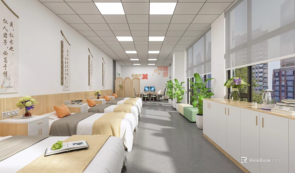 Rehabilitation Center Interior With Treatment Beds Green Plants And Bright Windows 3d model 