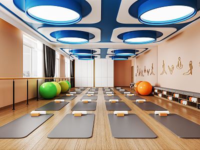 Modern Yoga Room Private Teaching Room Gym Pilates Exercise Room Yoga Mat Yoga Ball Hanging Rope Hanging Ring model