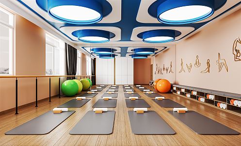 Modern Yoga Room Private Teaching Room Gym Pilates Exercise Room Yoga Mat Yoga Ball Hanging Rope Hanging Ring 3d model