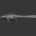 Realistic Prehistoric Marine Reptile Model With Gray Skin Open Mouth And Flippers