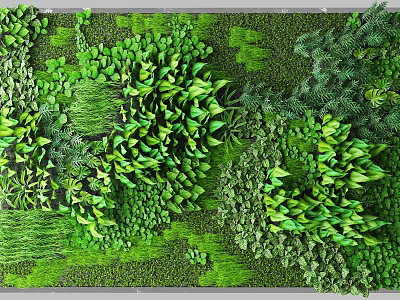Lush Living Plant Wall with Diverse Green Foliage and Vertical Garden Design 3d model