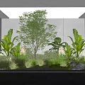 Lush Indoor Landscape With Tall Tree Large Leaf Plants Moss Stones And Skylight