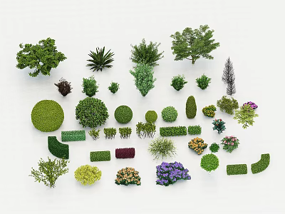 Various Garden Bushes With Different Shapes Colorful Foliage and Blooming Flowers 3d model