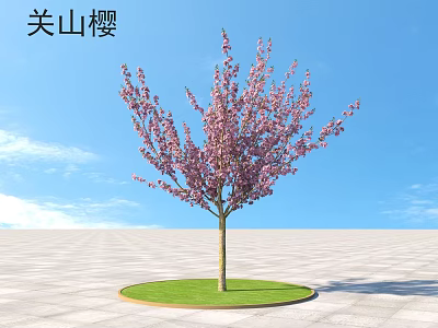 Ornamental Shrub with Pink Blossoms Growing on Green Grass Under Blue Sky 3d model