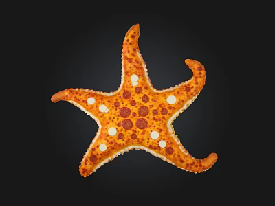 Creative Starfish Shaped Pizza With Pepperoni Cheese And Tomato Sauce 3d model