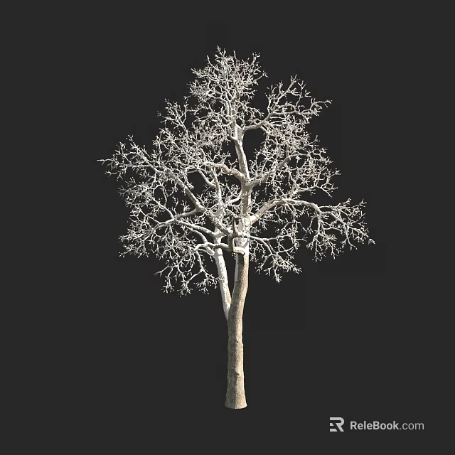 Bare Arbor Featuring Leafless Branches And Tall Trunk On Black Background 3d model
