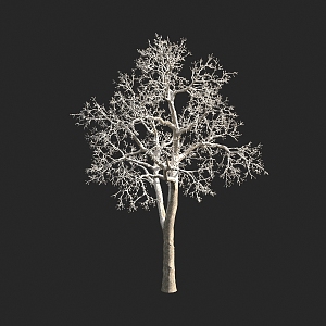 autumn and winter plants shrub tree snow cover 3d model